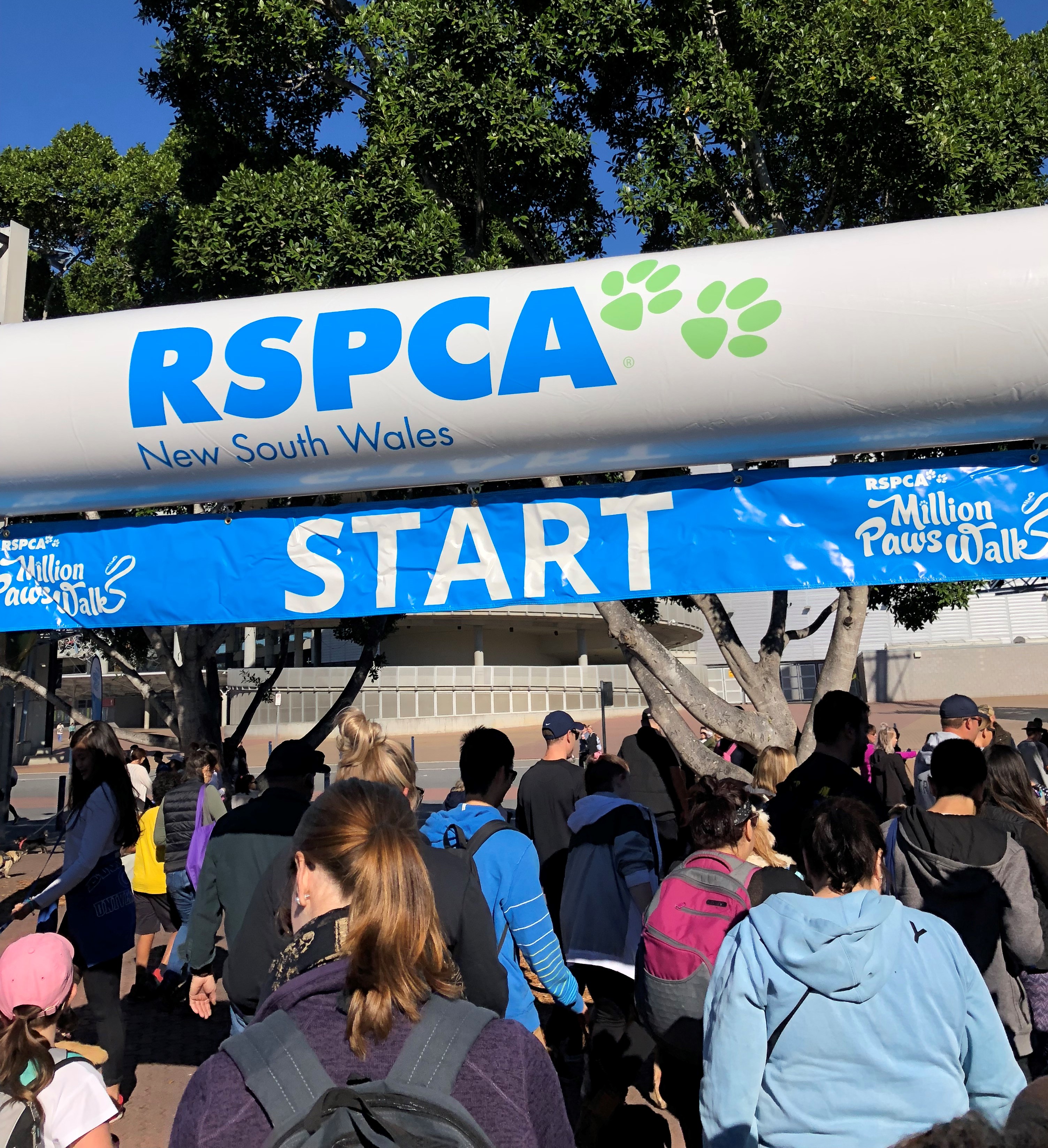 Vetnex is to Participate RSPCA’s Million Paws Walk 2019 on the 19th of May at Sydney Olympic Park